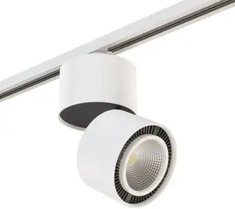Трековый светильник Lightstar Forte Muro A1T213830 – изображение в каталоге