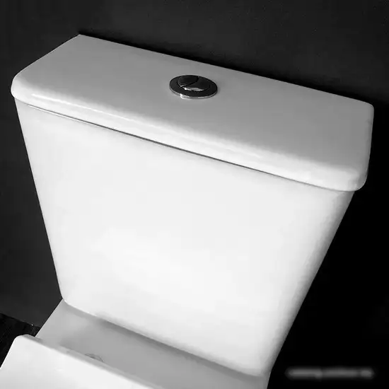 Cerutti Vettore CT7192 - фото товара