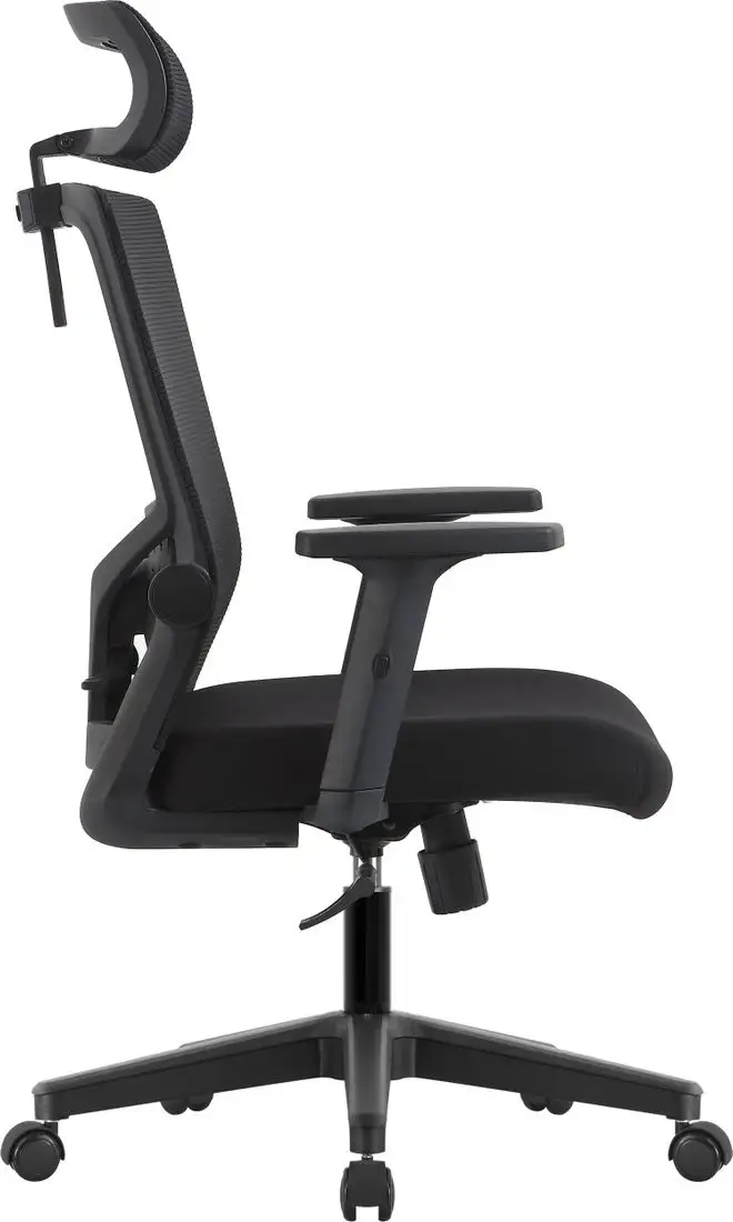 Офисное кресло Evolution ErgoLine 1 (черный) – фото товара