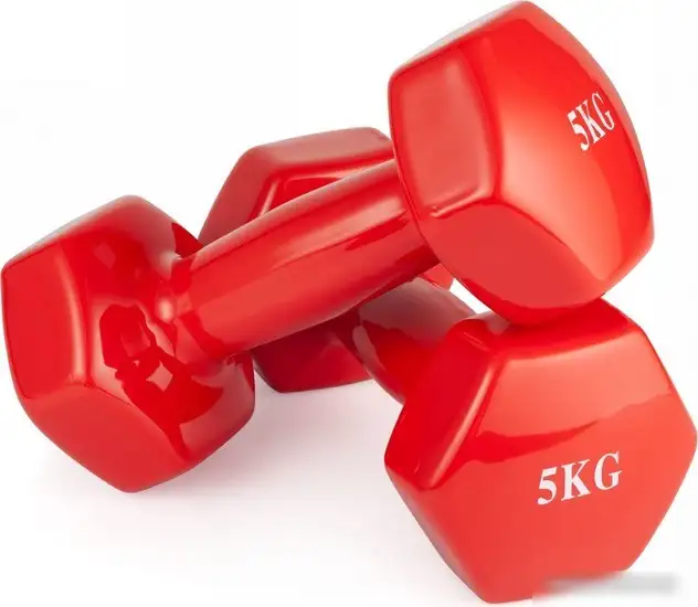 Гантель VictoryFit VF-DV050 5 кг – фото товара