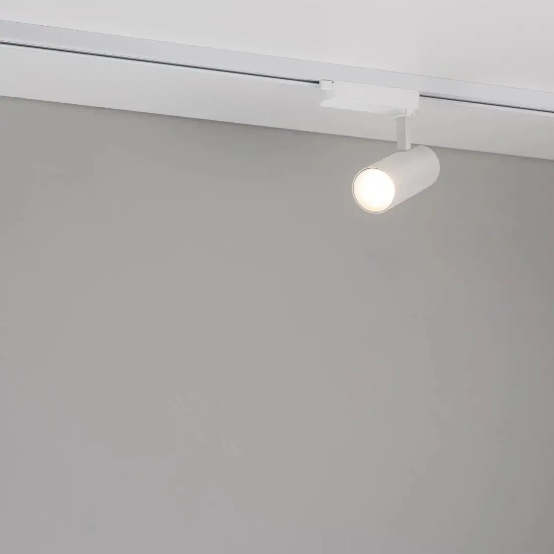 Трековый светильник Arlight LGD-GERA-2TR-R60-15W Warm3000 WH 055068 – фото товара