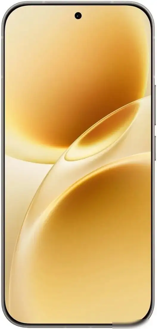 Телефон Vivo V70 V2538 8GB/256GB международная версия (серый) – фото товара