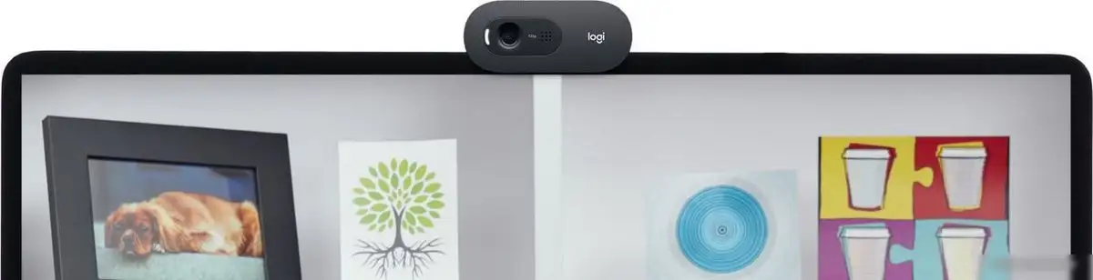 Веб-камера Logitech C505e – фото товара