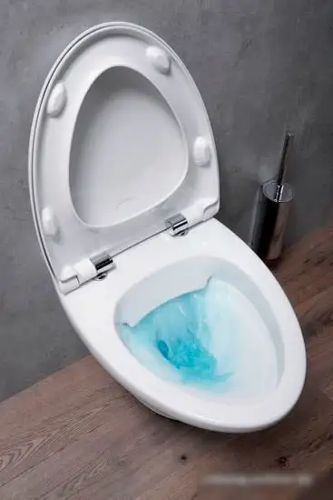 Унитаз Jacob Delafon Nouvelle Vague EDJ102-00 - фото товара