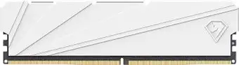 Оперативная память Netac Shadow S 8ГБ DDR4 2666 МГц NTSSD4P26SP-08W