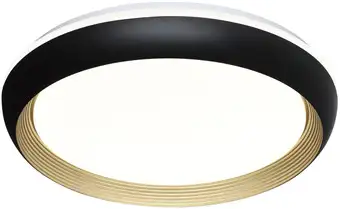 Припотолочная люстра Sonex Pale 7651/DL – изображение в каталоге