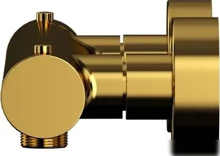 Смеситель Whitecross Y1246GL (золото) - фото товара