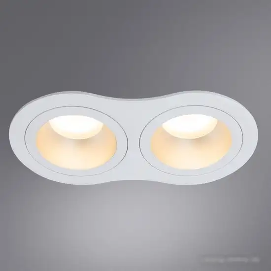 Точечный светильник Arte Lamp Alkes A2161PL-2WH – фото товара