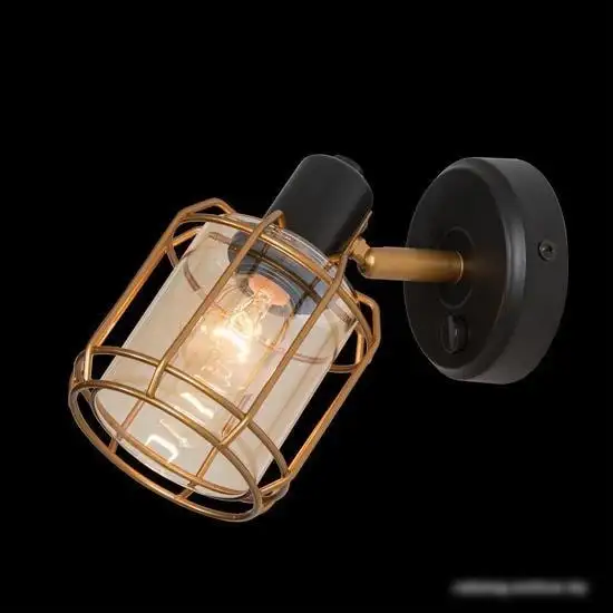 Спот Citilux CL542612 – фото товара