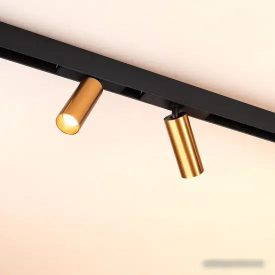 Трековый светильник Arlight MAG-25 035001 – фото товара