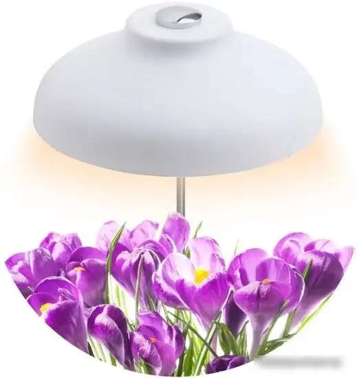 Лампа ЭРА FITO-12W-FLED – фото товара