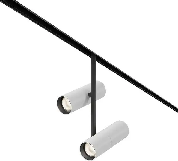 Трековый светильник Maytoni Elti Duo TR005-2-2X12W4K-BW – изображение в каталоге