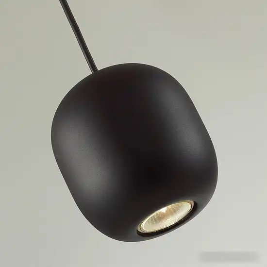 Подвесная люстра Odeon Light Cocoon 5060/1BA – фото товара