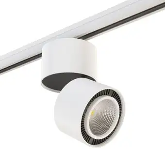Трековый светильник Lightstar Forte Muro A3T213830 – изображение в каталоге