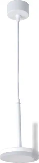 Подвесная люстра Favourite 3078-1P – фото товара