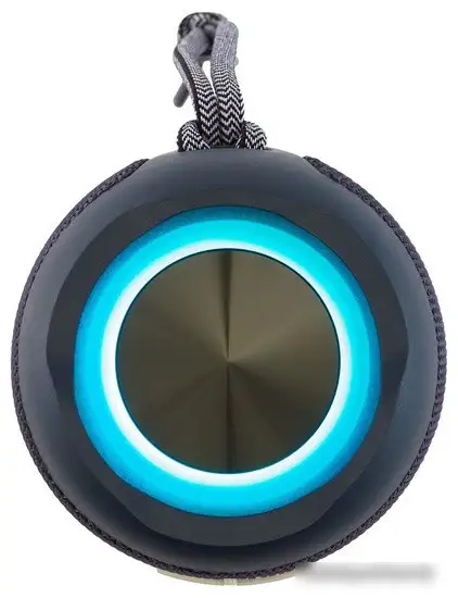 Беспроводная колонка Hyundai H-PAC610 – фото товара