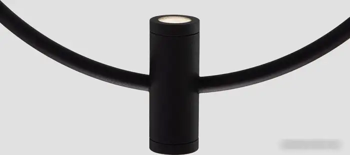 Подвесная люстра Евросвет 50257/3 LED черный – фото товара