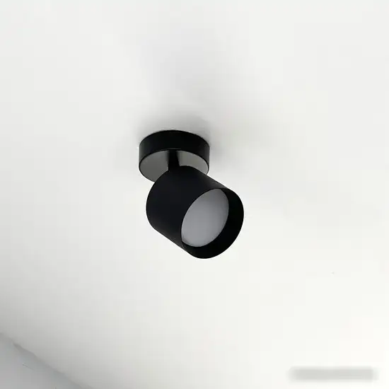 Спот TruEnergy 21028 – фото товара