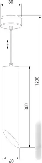 Подвесная люстра Евросвет 7011 MR16 BK/GD черный/золото – фото товара