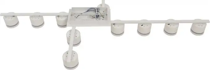 Припотолочная люстра Lumion Agnia 8303/10C – фото товара