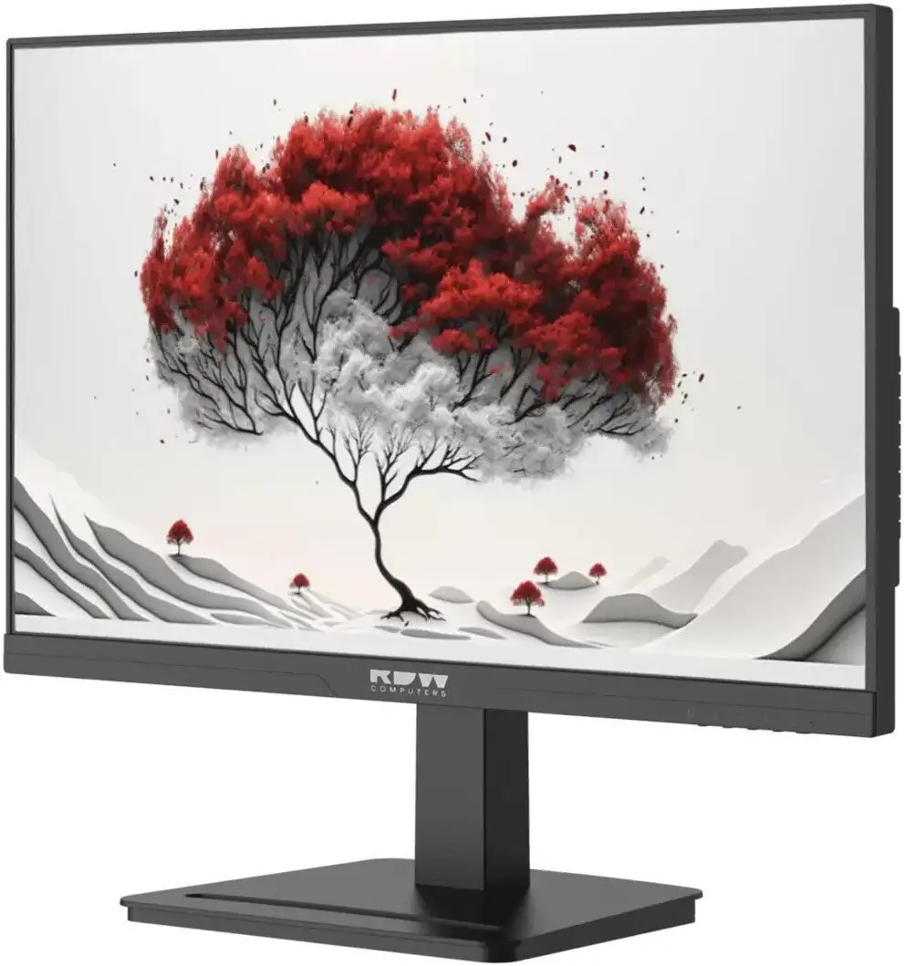 Монитор RDW Computers 2401K/F08В3120V2A1B – фото товара
