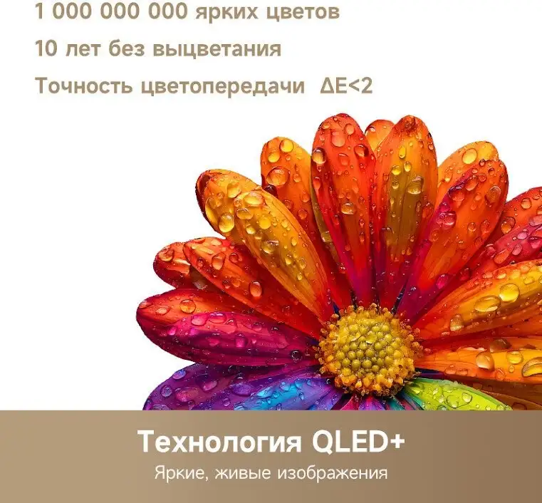 Телевизор Dreame 32Q10 – фото товара