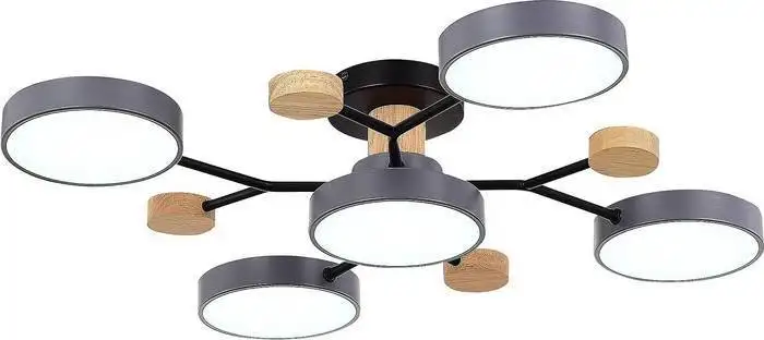 Припотолочная люстра Evoluce Faema SLE6006-702-05 – фото товара