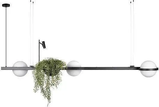 Подвесная люстра LOFT IT Jardin 10121/C – фото товара