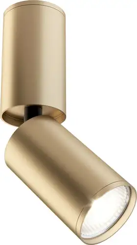 Точечный светильник Maytoni FOCUS S C051CL-01G – изображение в каталоге