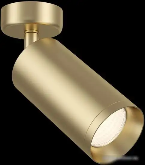 Точечный светильник Maytoni Focus C017CW-01MG – фото товара