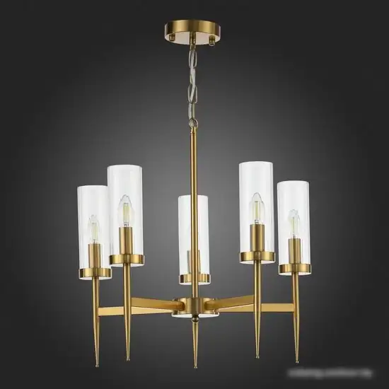 Подвесная люстра ST Luce Acazio SL1159.303.05 – фото товара