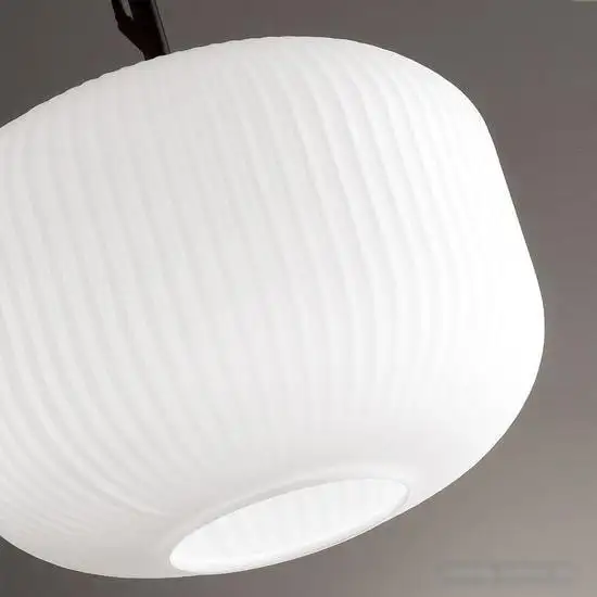 Подвесная люстра Odeon Light Roofi 4754/1 – фото товара