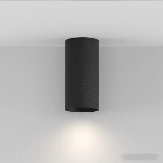 Точечный светильник Maytoni Artisan C080CL-01-GU10-B – фото товара