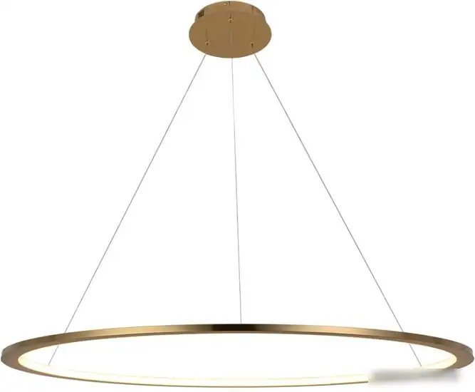 Подвесная люстра LOFT IT Ring 10014XL – фото товара