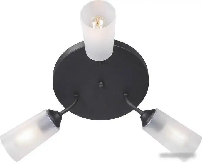 Припотолочная люстра Vitaluce V3762-1/3PL – фото товара