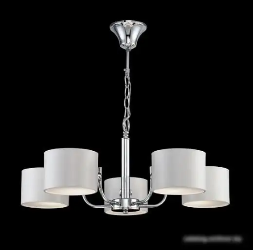 Подвесная люстра Freya Chandelier Anita FR5012PL-05CH – фото товара