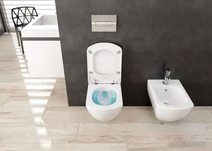 Унитаз Deante Anemon CDZ 6ZPW - фото товара