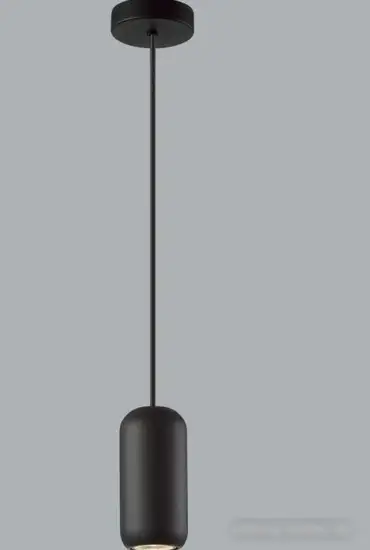 Подвесная люстра Odeon Light Cocoon 5060/1B – фото товара