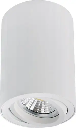 Точечный светильник Arte Lamp Sentry A1566PL-1WH – изображение в каталоге