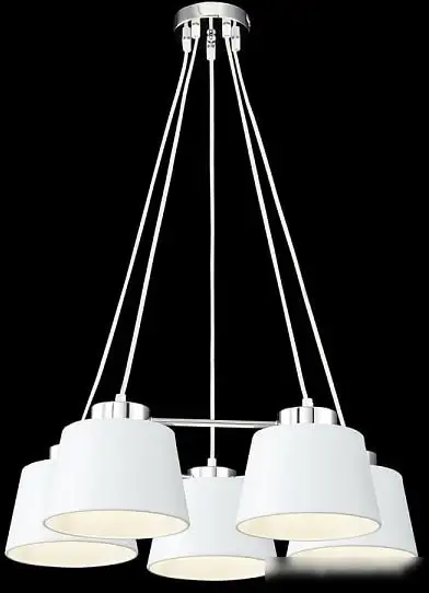 Подвесная люстра Freya Barbara FR5004PL-05CH – фото товара
