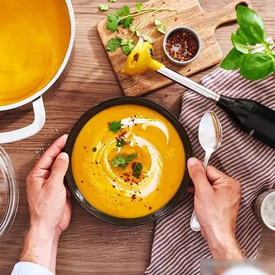 Погружной блендер Bosch ErgoMixx MS6CB61V1 - фото товара