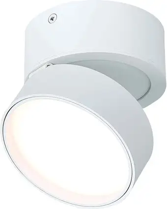 Припотолочная люстра ST Luce ST651.532.14 – изображение в каталоге