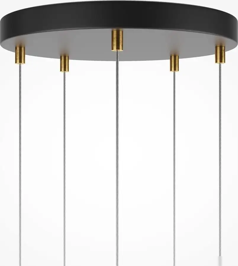 Подвесная люстра Maytoni Area MOD295PL-L60BBS3K – фото товара