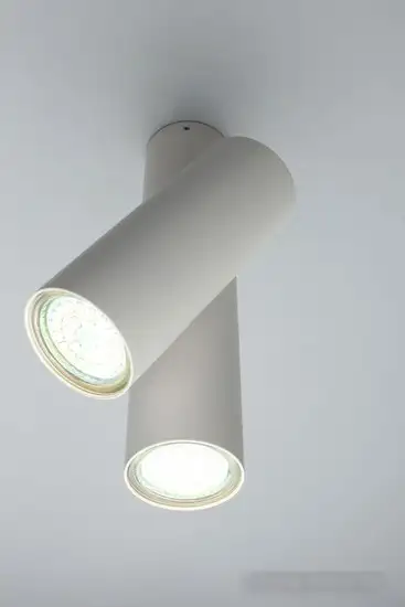 Спот Aployt Aksel APL.006.02.02 – фото товара