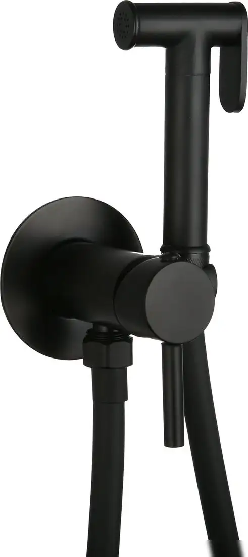 Гигиенический душ Roxen Santi 500940-B - фото товара