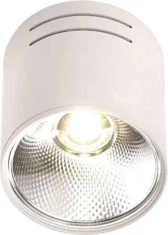 Спот Imex IL.0005.4015 – изображение в каталоге