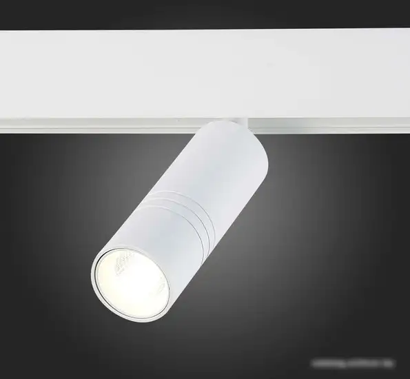 Трековый светильник ST Luce Lemmi ST365.546.12 – фото товара