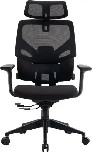 Офисное кресло Evolution LumbarPro (черный) – изображение в каталоге