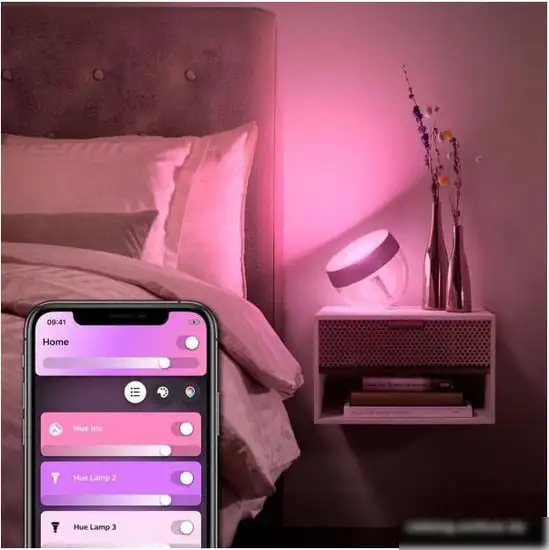 Ночник Philips Hue Iris (розовый) – фото товара