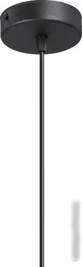 Подвесная люстра Vitaluce V2953-1/1S – фото товара